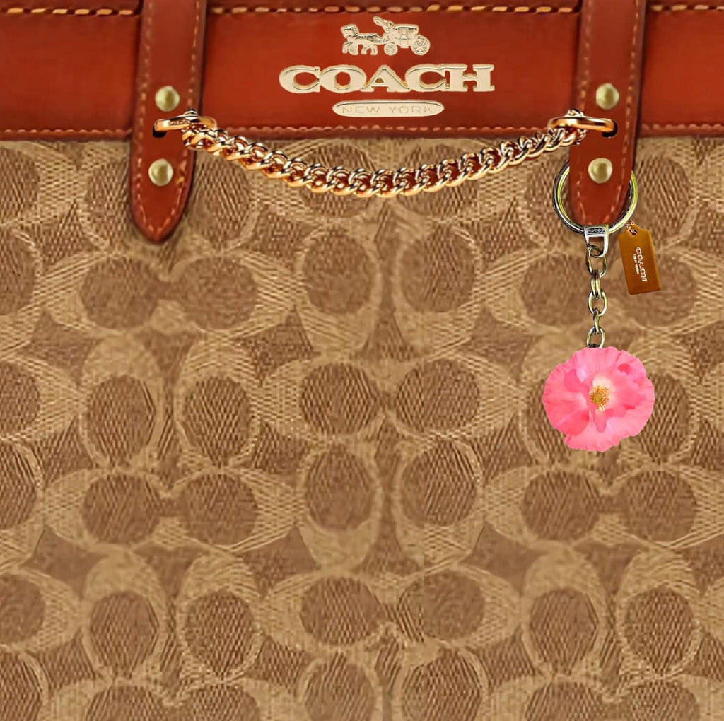 Designer bag Tumbler bundle-C2