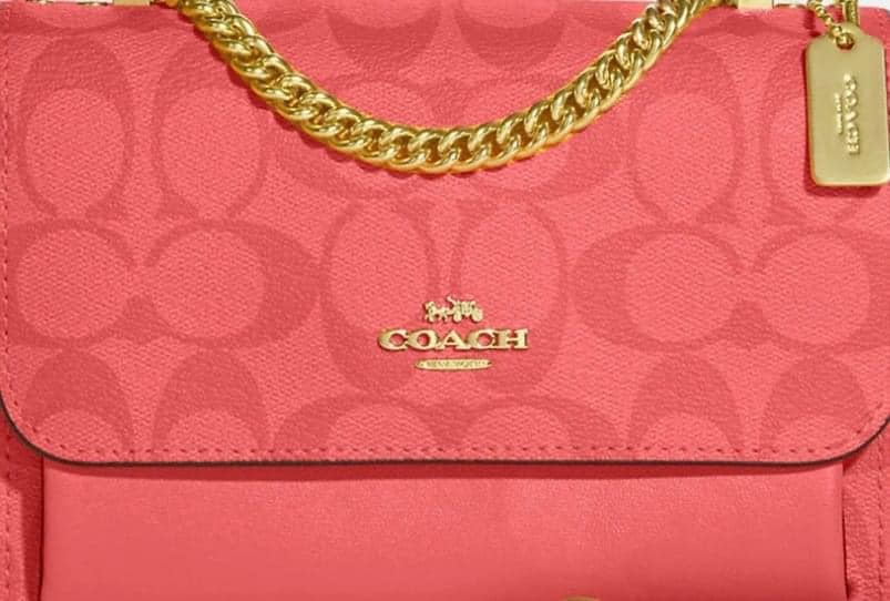 Designer bag Tumbler bundle-C2